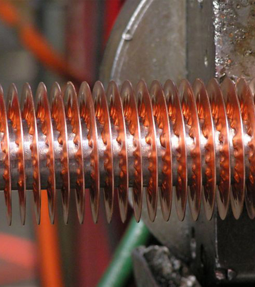 Food and Beverage Industry